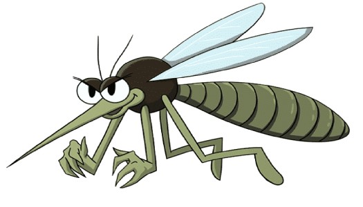 Gợi ý những cách đuổi muỗi tự nhiên hiệu quả
